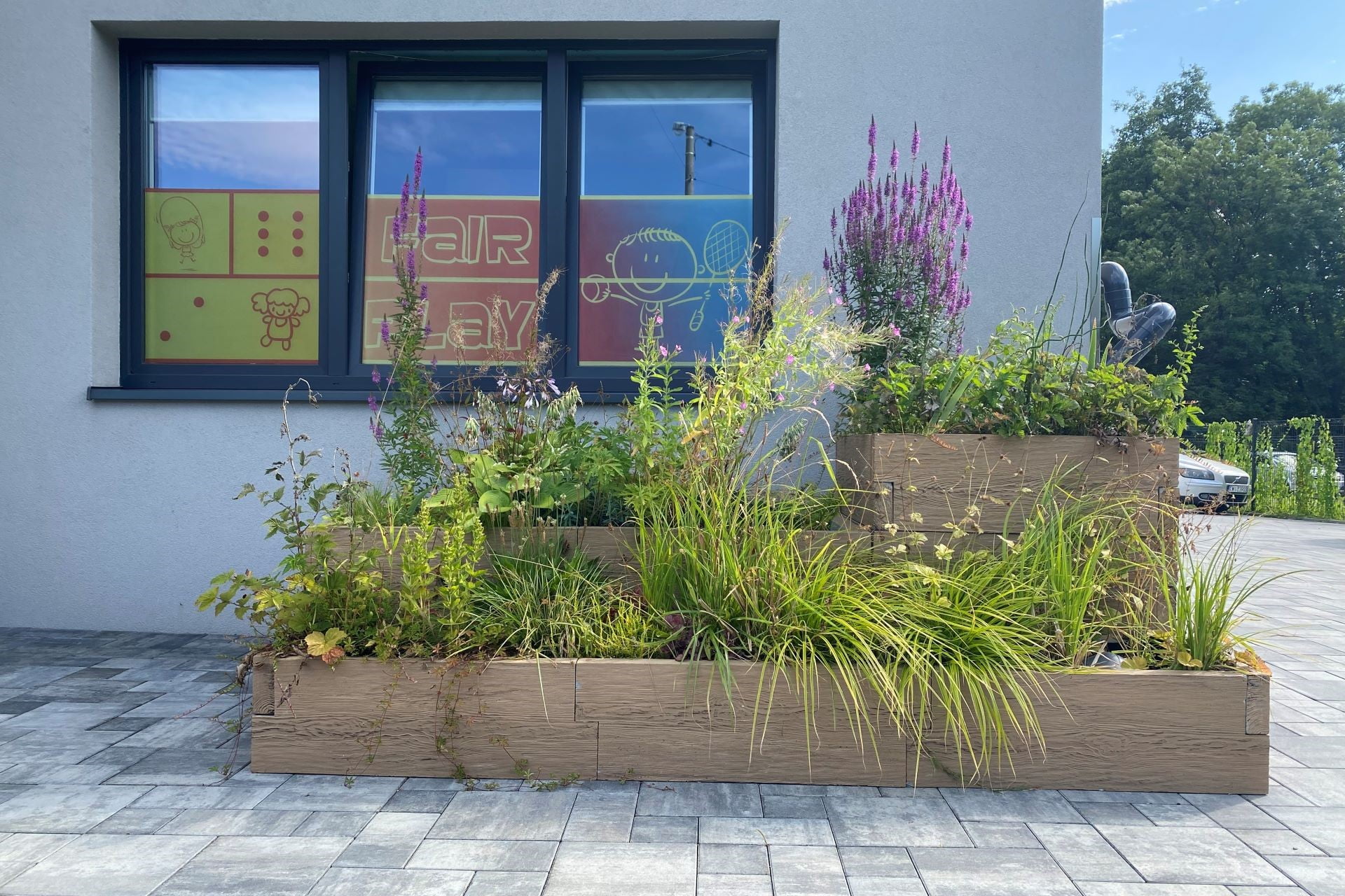 Ogród deszczowy przy przedszkolu