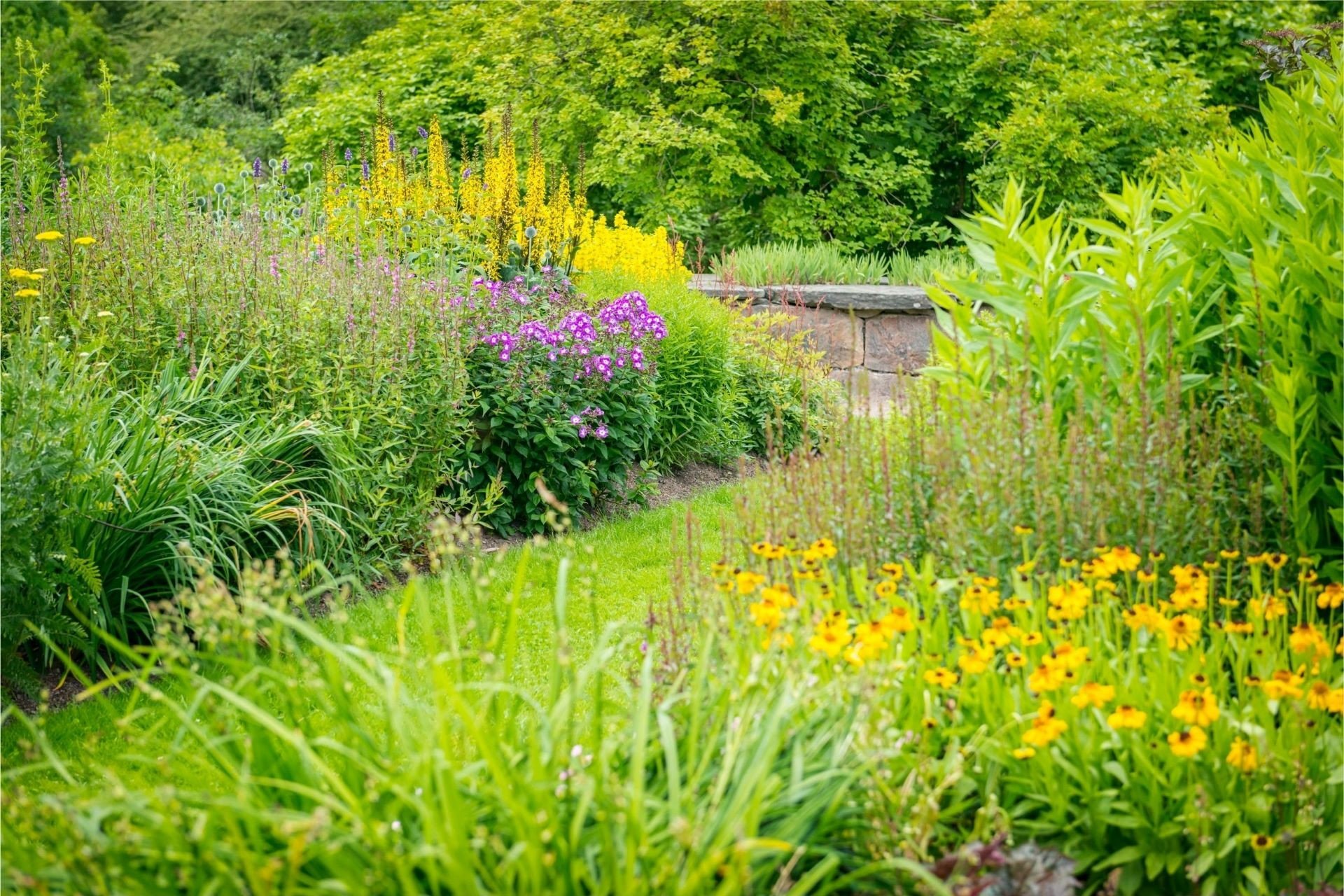 Ogrody deszczowe w gruncie