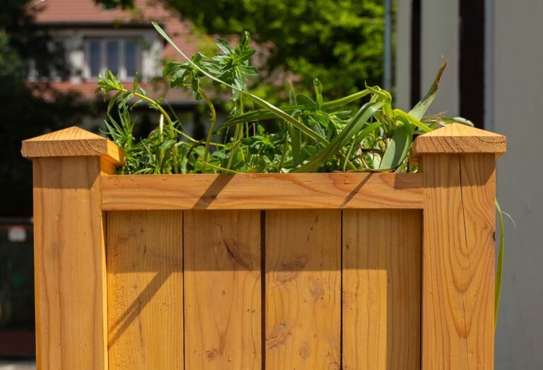 Ogród deszczowy w skrzyni