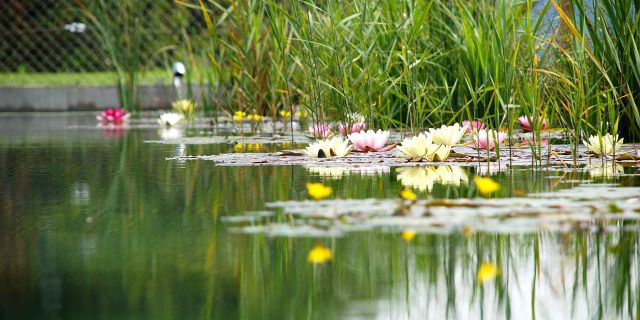 Mikroretencja – działanie dla każdego, lecz diabeł tkwi w szczegółach