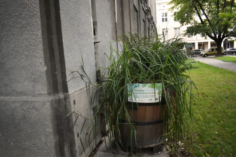 Ogrody deszczowe Kraków