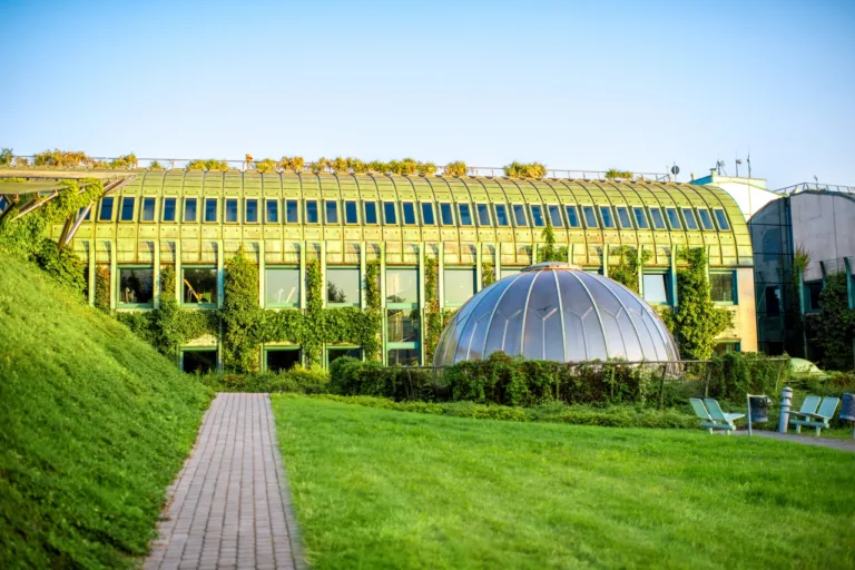 Ogród na dachu Biblioteka UW